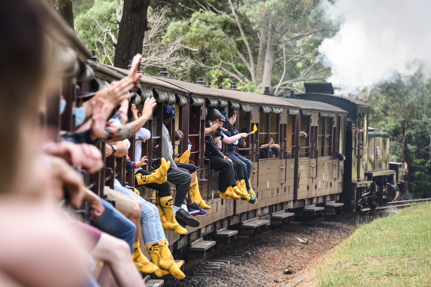 Ride through lush scenery, then witness nature’s cutest parade at dusk