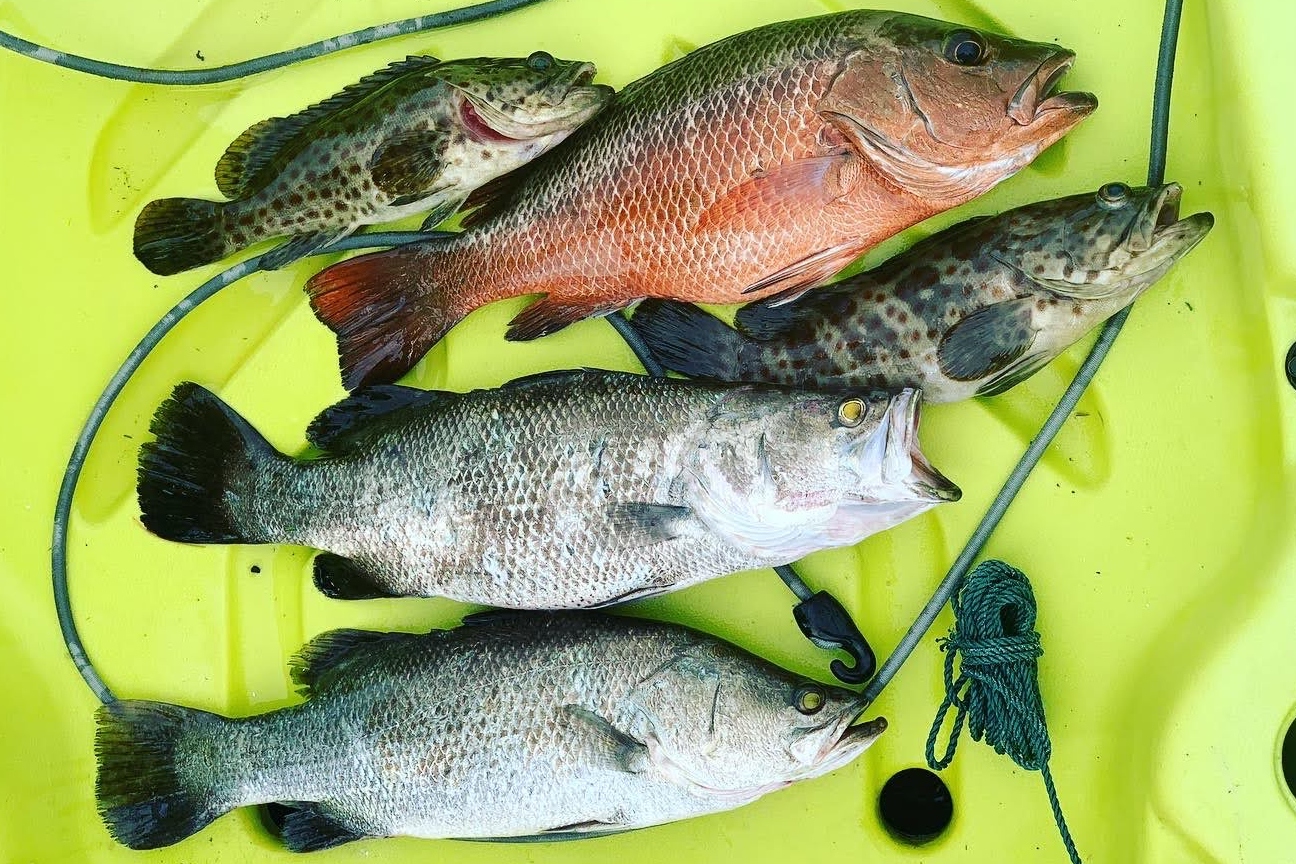 新加坡皮划艇釣魚 & 紅樹林之旅