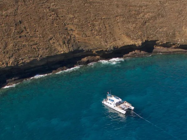 Living out my ocean documentary dreams in Maui