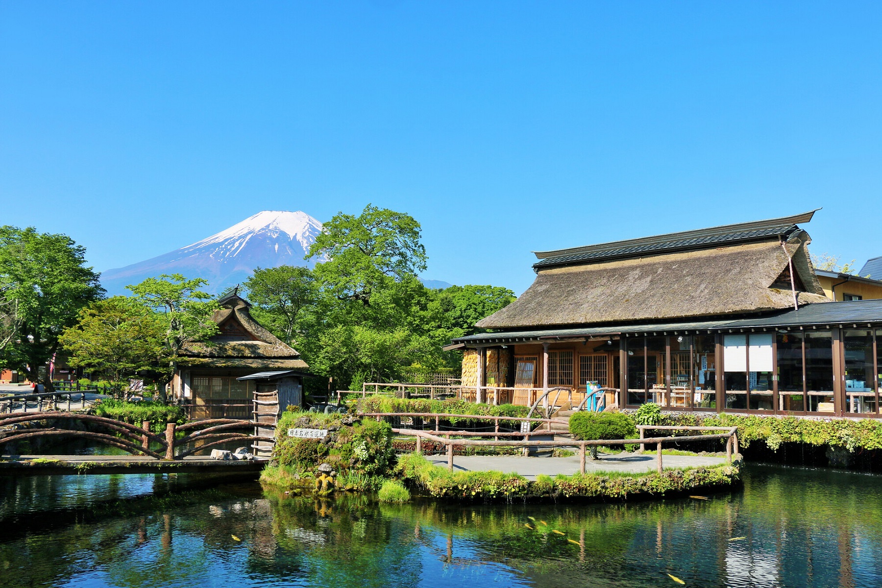 靜岡: 伊東溫泉海之煙火大會 & 大室山 & 忍野八海 & 花之都公園 & 巨峰葡萄採摘吃到飽2日遊