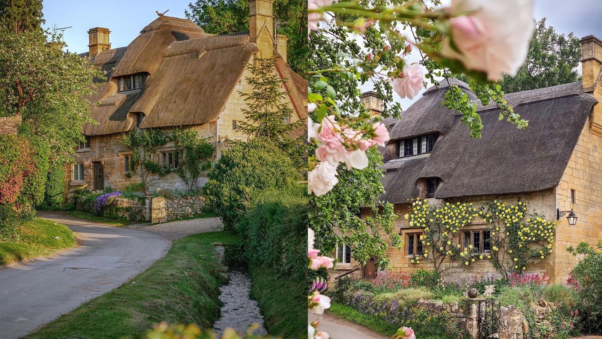 Cotswolds