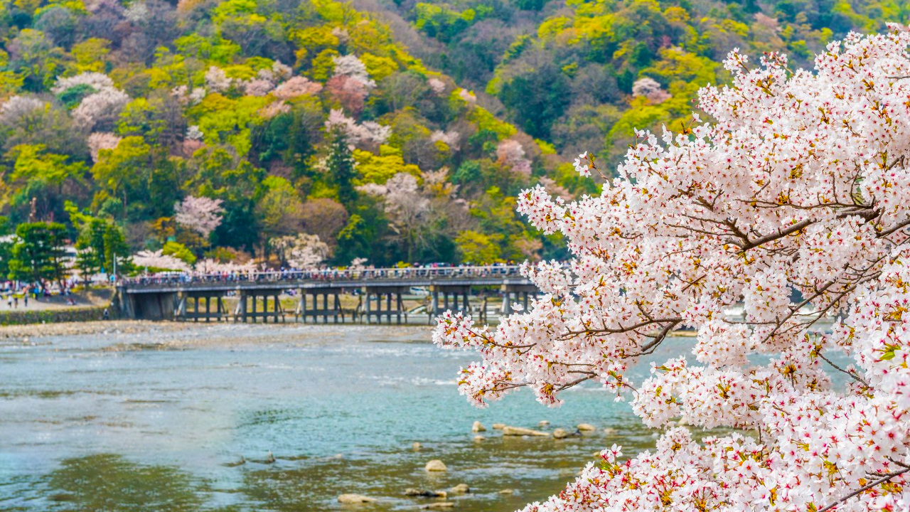 【京都&奈良&嵐山&勝尾寺美景線】嵐山&伏見稻荷大社千本鳥居&奈良公園喂小鹿&勝尾寺看小達摩一日遊|大阪出發