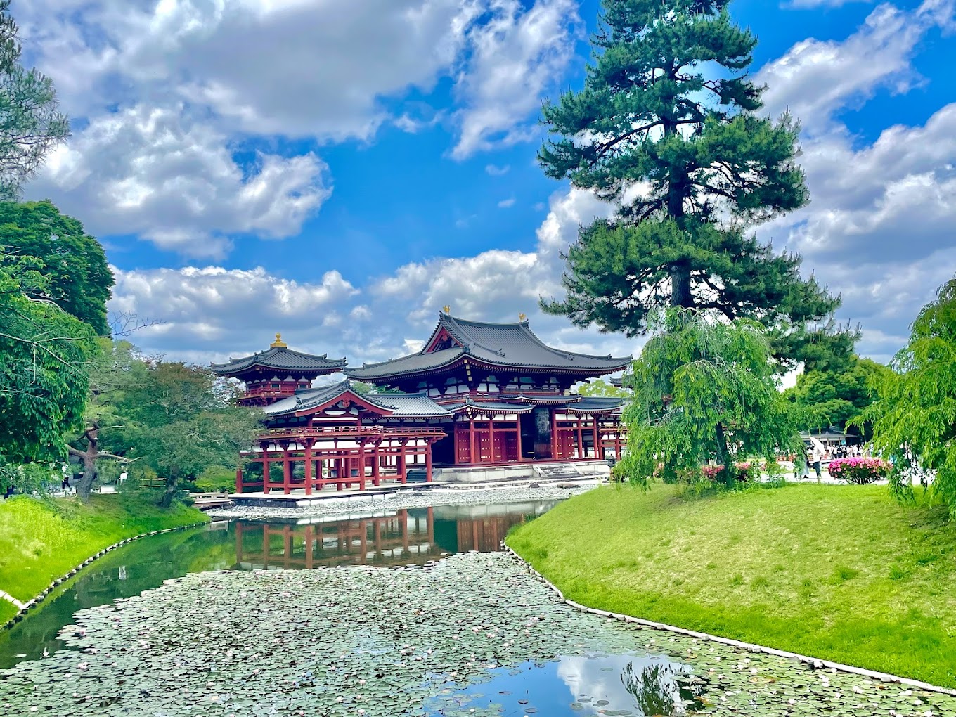 【京都&奈良&宇治一日遊】奈良公園萌鹿&伏見稻荷大社千本鳥居&世界文化遺產東大寺&平等院&宇治抹茶美食街&宇治川&宇治公園&朝霧橋一日遊