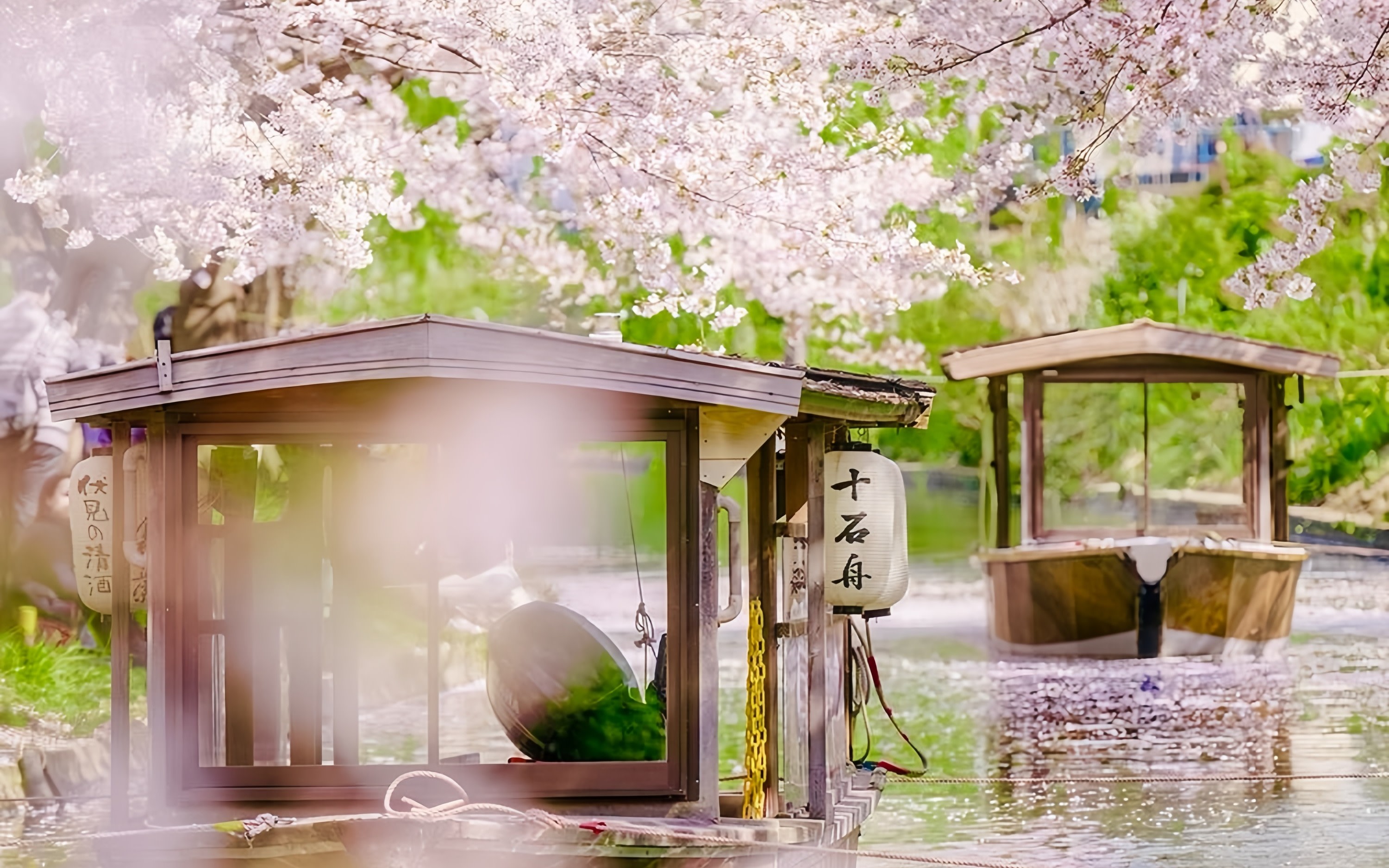 [Klook Exclusive] Kyoto Jikkokubune Boat Ride for Cherry Blossom Viewing & Gekkeikan Okura Sake Museum Half-Day Tour (Optional Hyakunen Uosanro Kaiseki Cuisine)
