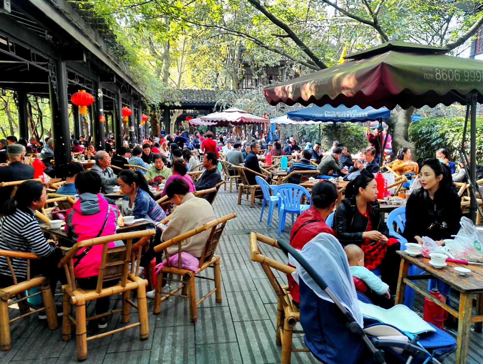 成都私家團半日遊：當地茶館 私人麻將課程