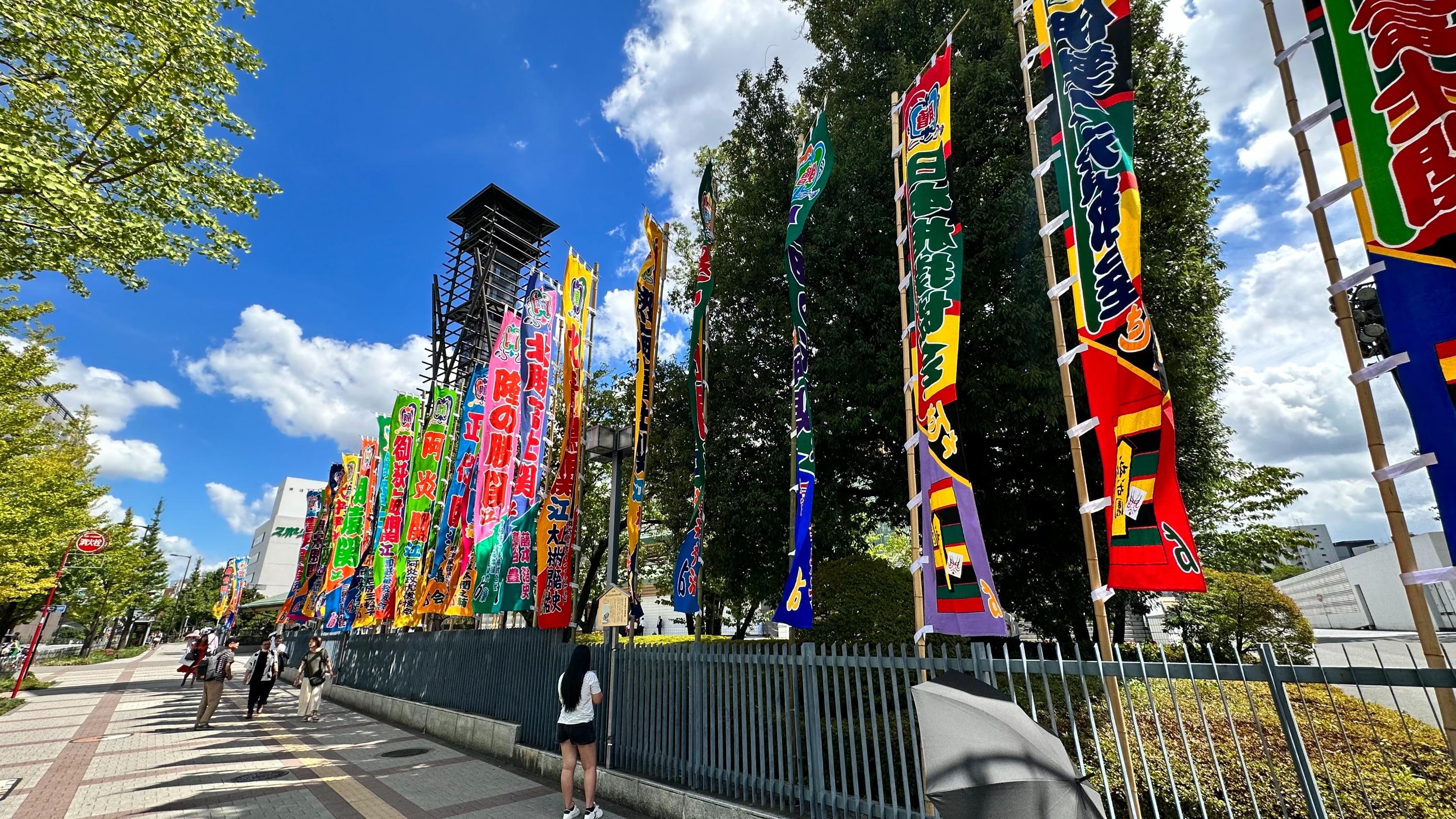 東京相撲觀看體驗（含專家）