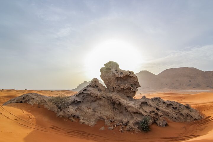 Private 4x4 Desert Drive, Wadi Shawaka Pool Visit with Lunch box