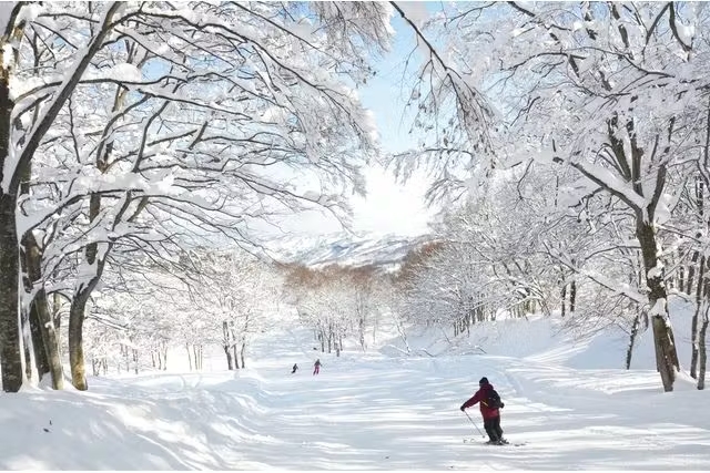 JOETSU KOKUSAI Ski Resort Admission In Niigata 