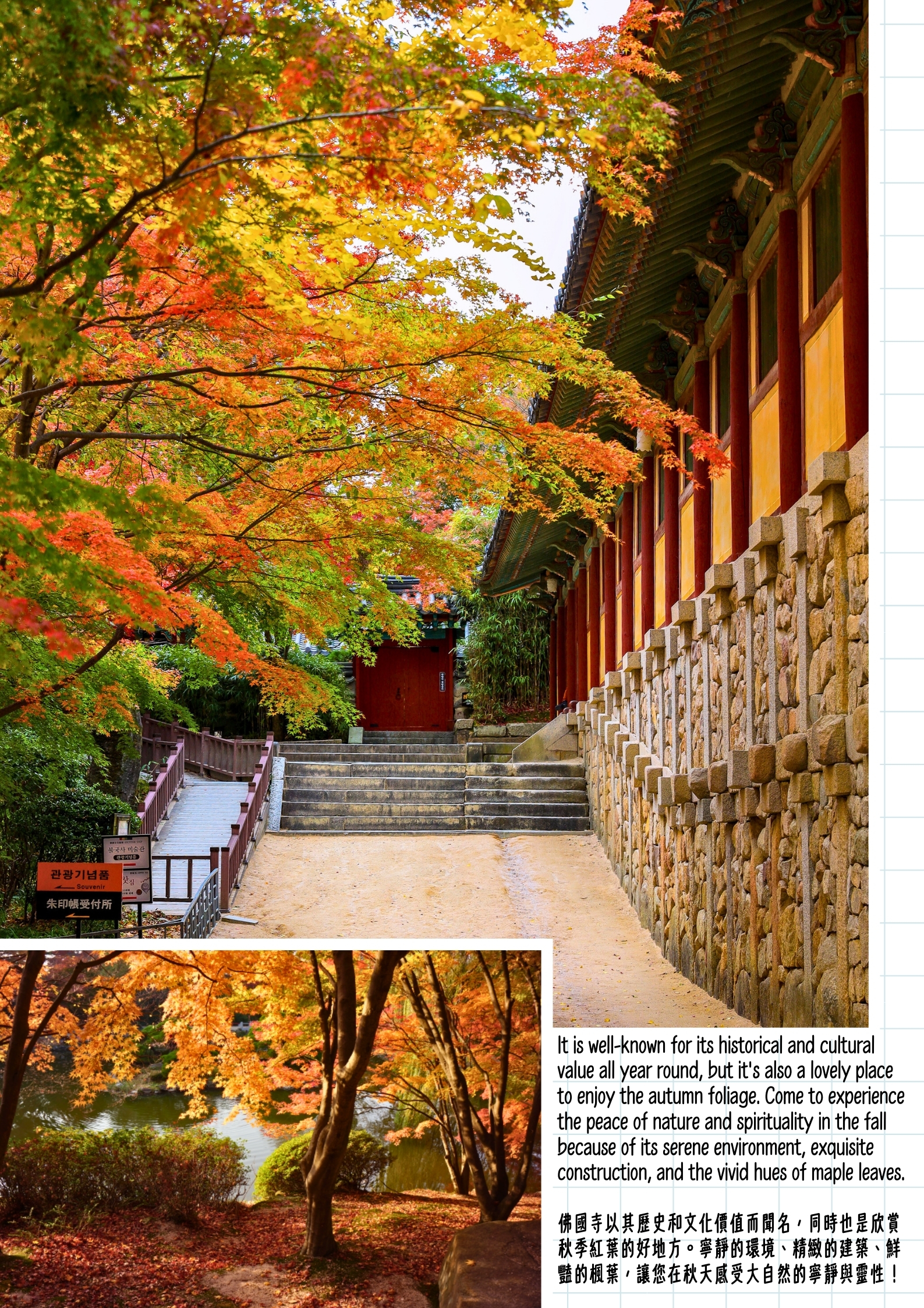 庆州黄理团路×佛国寺秋枫之旅（釜山）