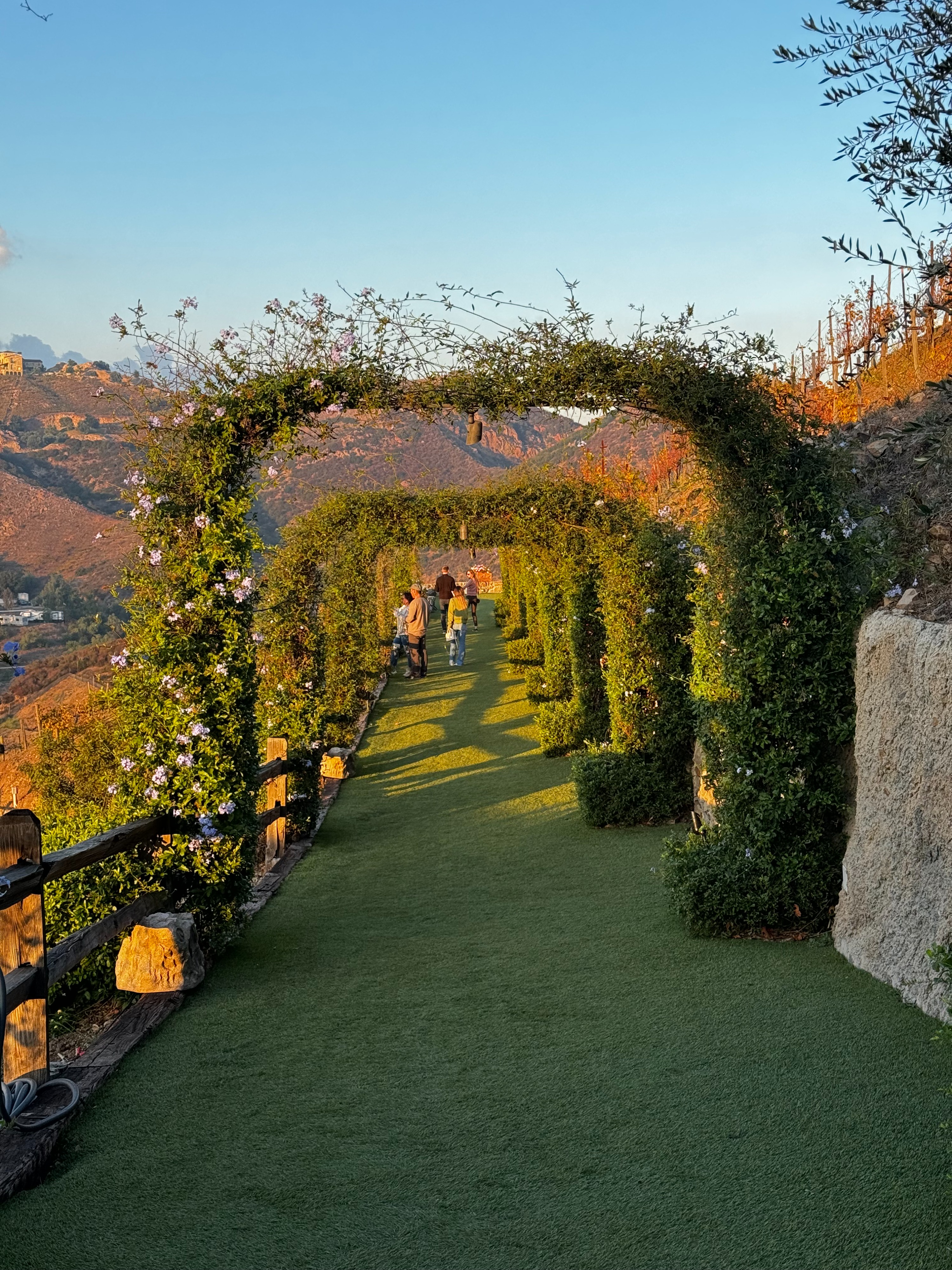 Private Wine Tasting Tour in Malibu