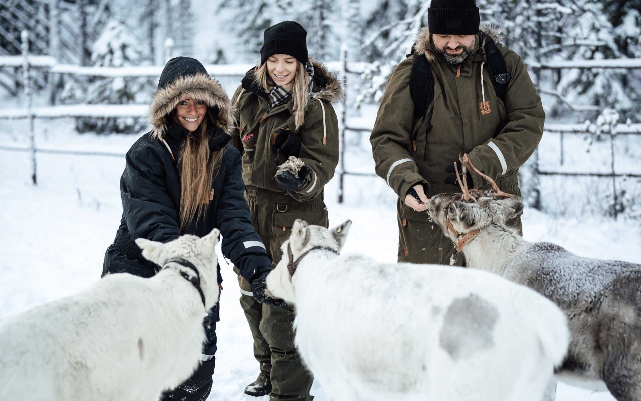 Lupland’s Winter Activity Park Ranua