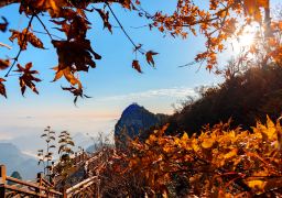 Five Days and Four Nights in Forest Park, Tianmen Mountain, Glass Bridge Grand Canyon, Furong Town, and Fenghuang Ancient City - Core Attractions