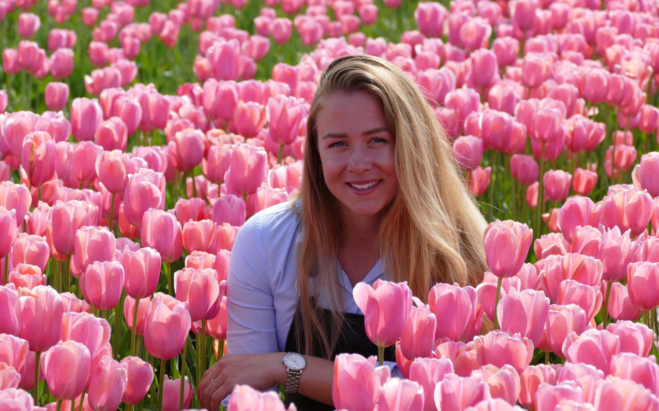 美麗的女子在柔和的陽光下,優雅地坐在一片鮮豔的粉色花叢中 美麗的女子在柔和的陽光下,優雅地坐在一片鮮豔的粉色花叢中