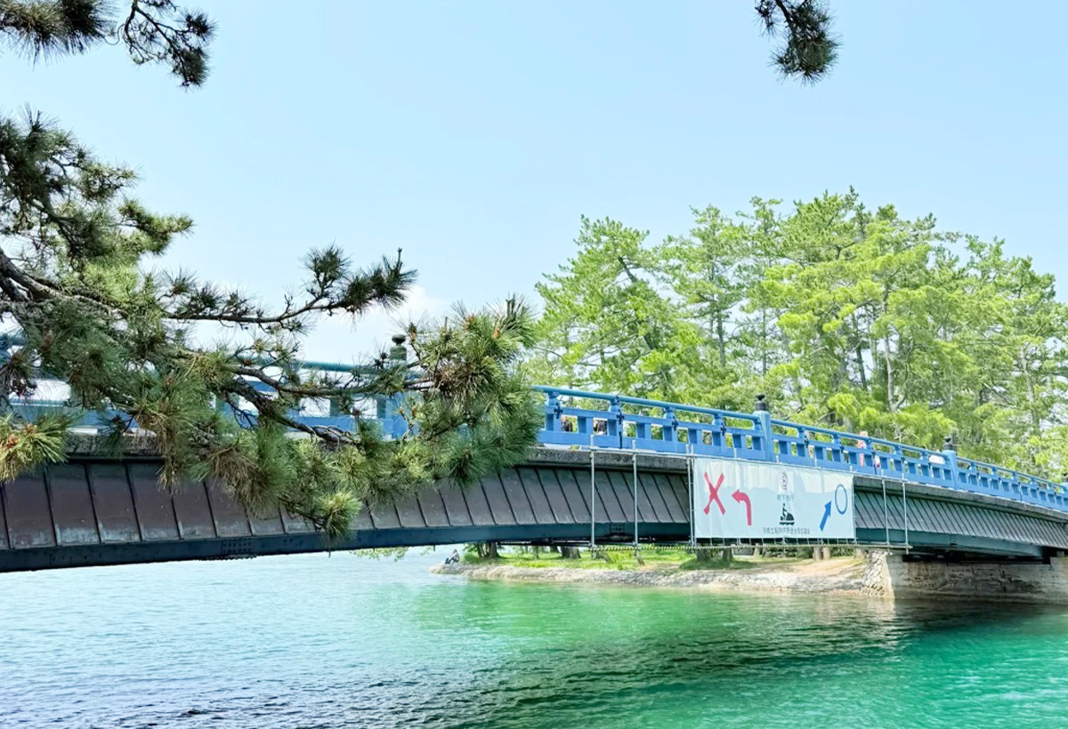 日本三景之一的天然沙洲，全長3.6公里，生長著約8000株松樹。登上文珠山展望臺可欣賞"飛龍觀"全景，沙洲如巨龍騰空。這裡還有祈求智慧的智恩寺、可旋轉的迴旋橋，以及夏季開放的海水浴場，是自然與人文交融的獨特景觀。