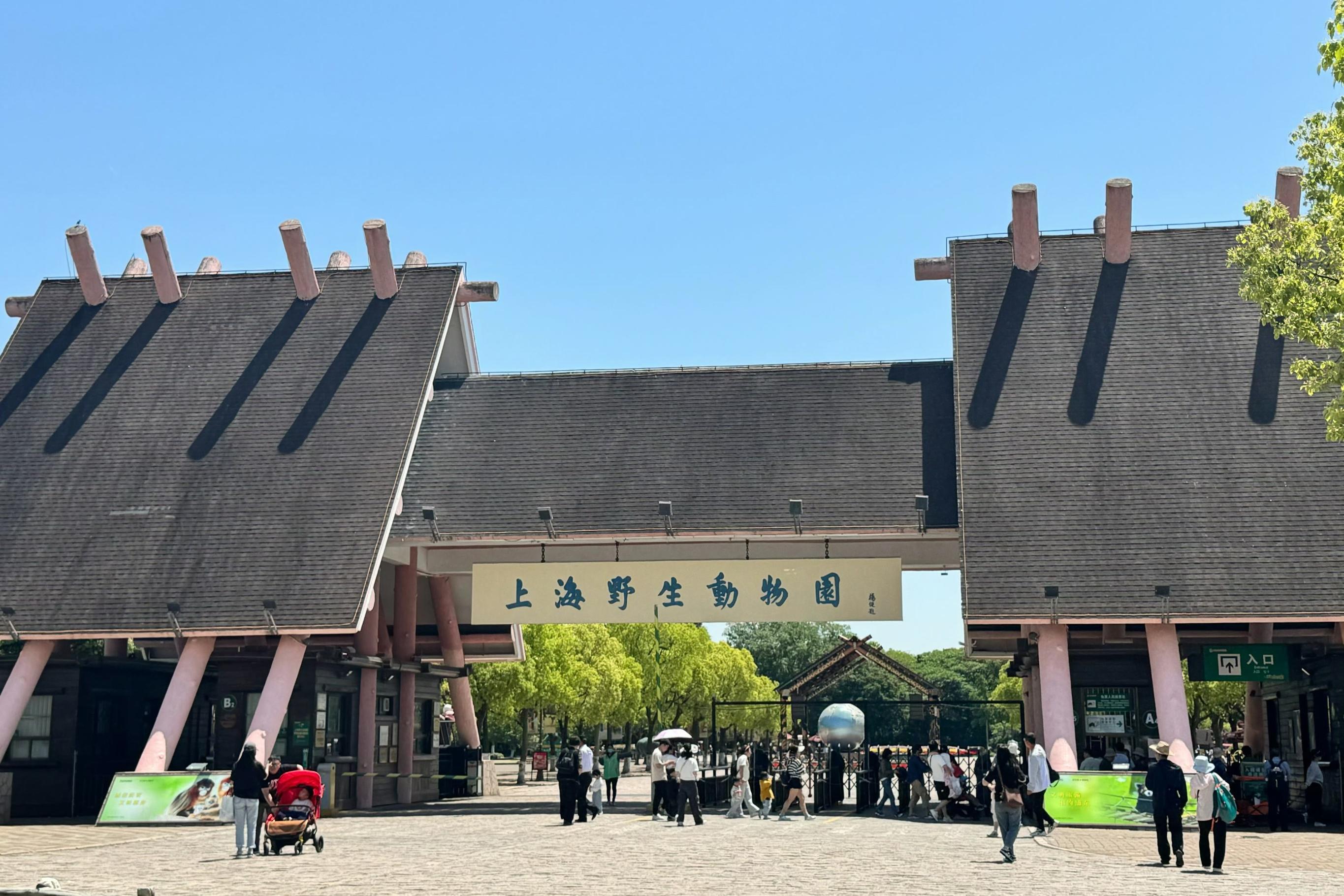 上海迪士尼樂園+東方明珠三天兩晚跟團遊（2-6人團·浦江遊船·上海野生動物園·外灘夜景）