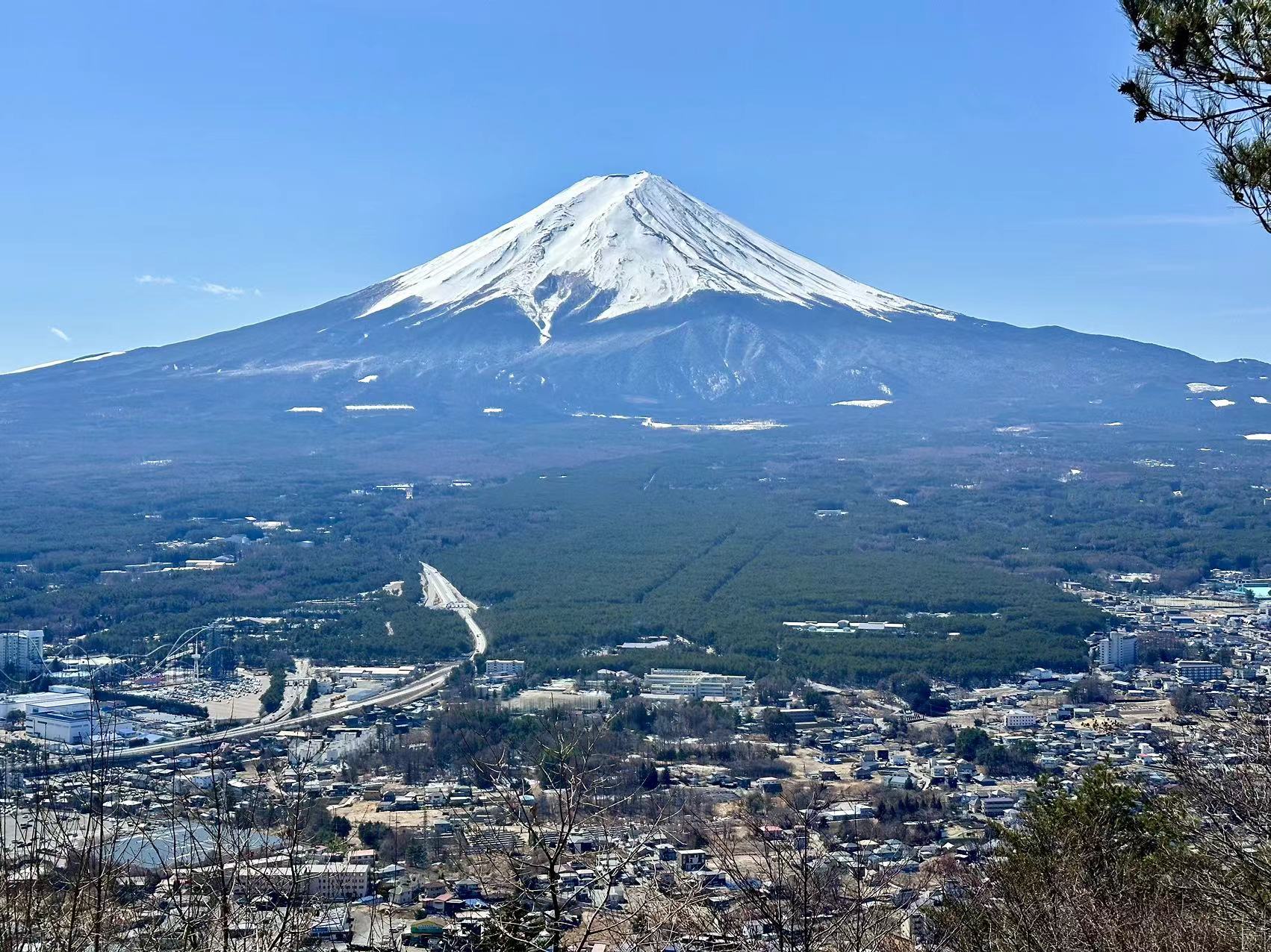富士山五合目賞花打卡一日遊｜五合目&忍野八海&山中湖喂天鵝&河口湖大石公園（可選中英文服務）