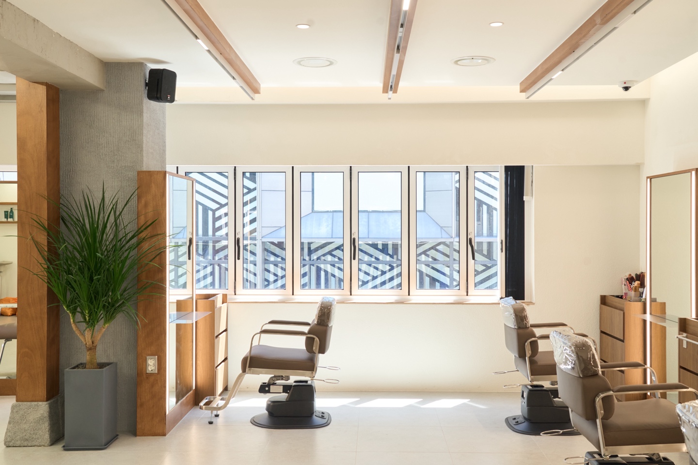 Monoc: Premium Head Spa & Hair Salon in Myeongdong