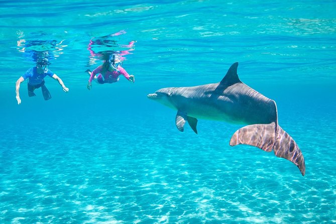 Hurghada: Dolphin Watching Boat Tour with Snorkeling & Lunch