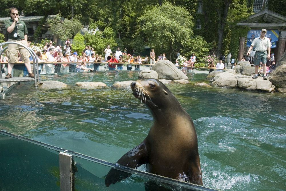 中央公園動物園 & 30+景點步行遊