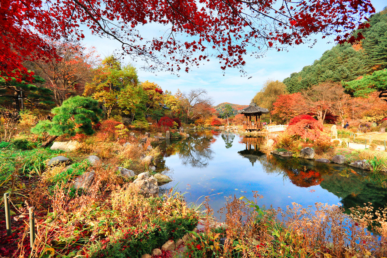 漫步於韓國最美麗的私人花園之一——晨靜樹木園 (Garden of Morning Calm)，欣賞大自然甦醒的蓬勃生機。