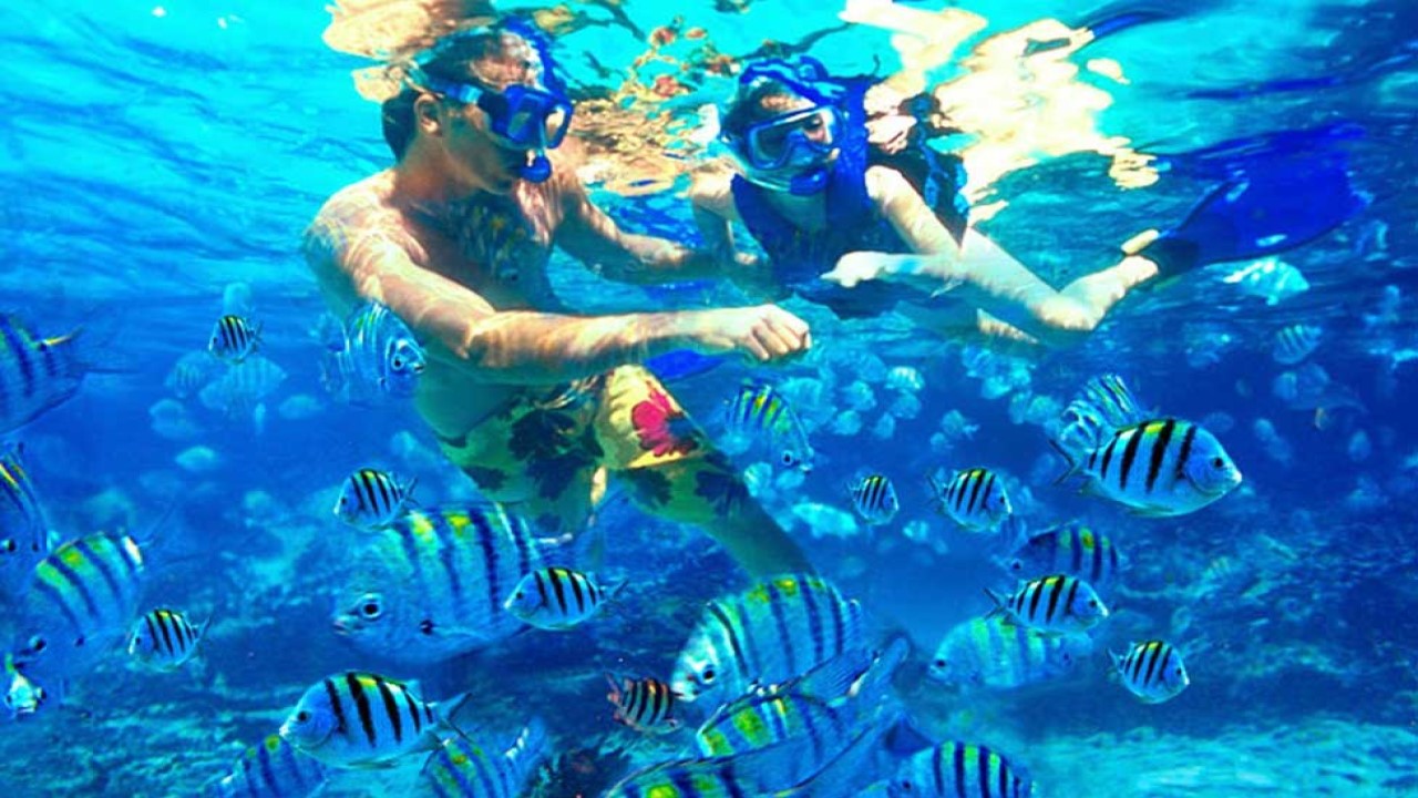 Giftun Island and snorkeling 