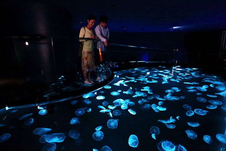 東京墨田水族館門票