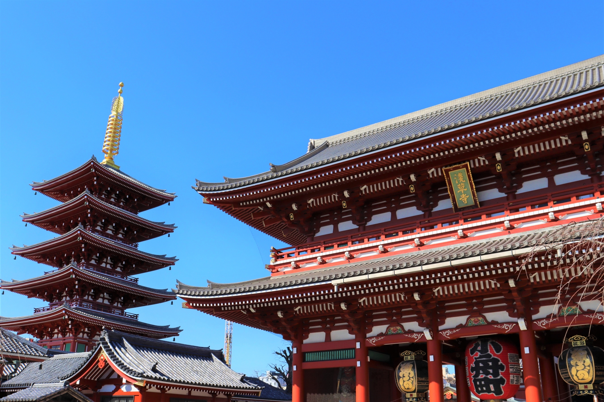 [Depart from Ueno/Tokyo] Tokyo Landmark Bus Day Tour｜Meiji Jingu Shrine & Imperial Palace & Sensoji Temple & Tokyo Bay Cruise & Odaiba (Chinese/English Tour Guide)