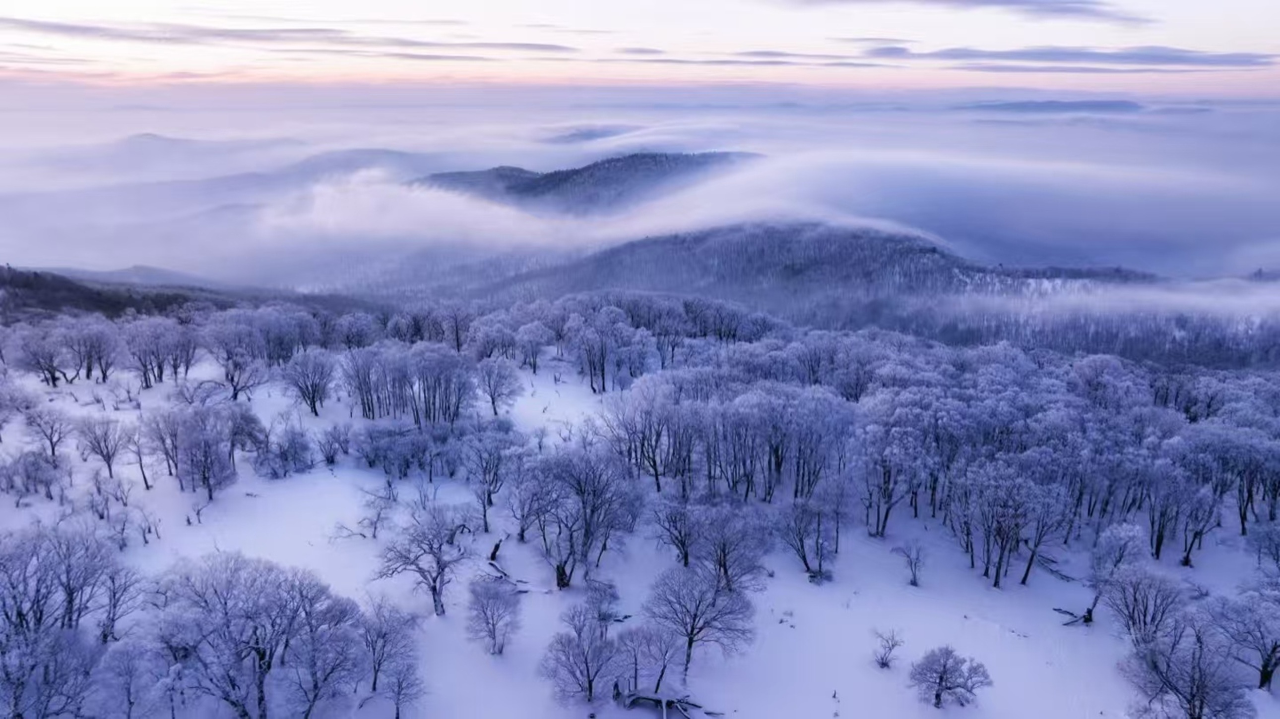 霧凇山景:晨曦漫過山巒,霧凇林覆著淡金柔光,層疊遠山隱在霧裡,像裹了糖霜的仙境畫卷 霧凇山景:晨曦漫過山巒,霧凇林覆著淡金柔光,層疊遠山隱在霧裡,像裹了糖霜的仙境畫卷