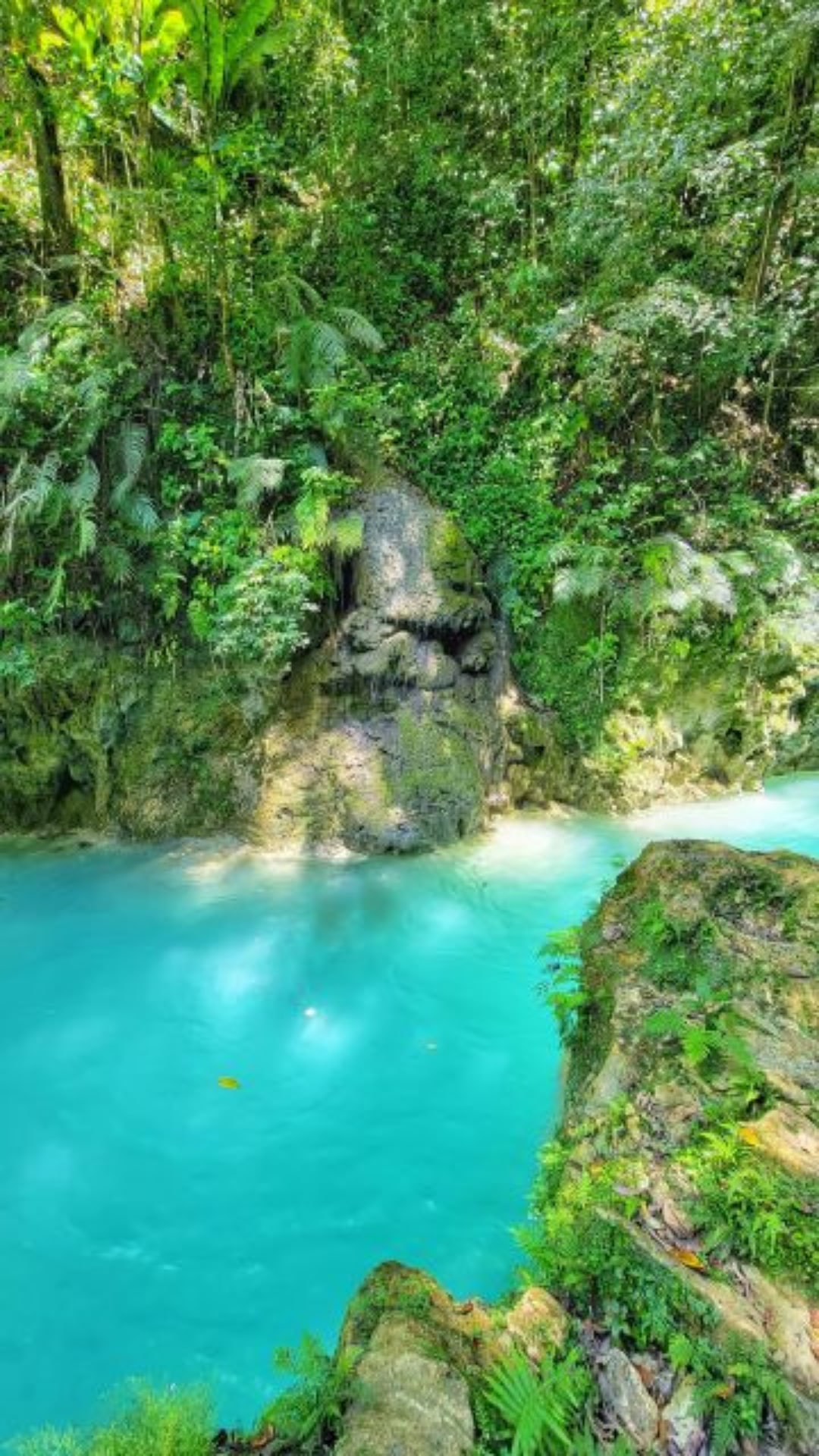 6 Hour Rio Partido's Secret River Trail with Lunch