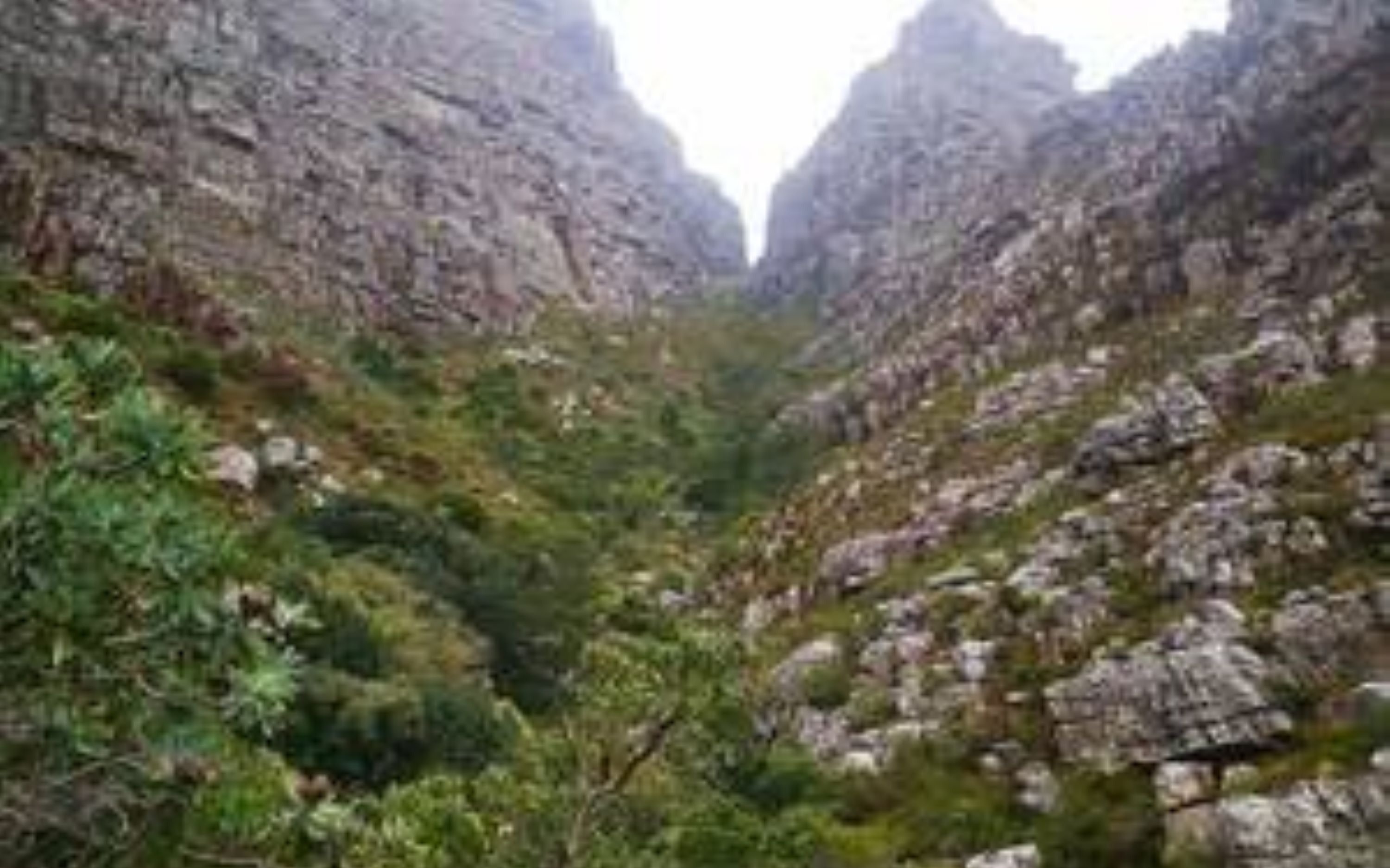 Table Mountain Hike (Via Platteklip)