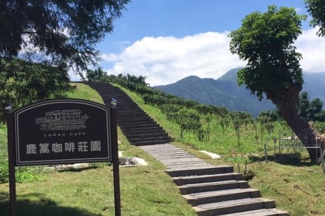 景點共乘接駁｜清境至合歡山＆松雪樓共乘接駁