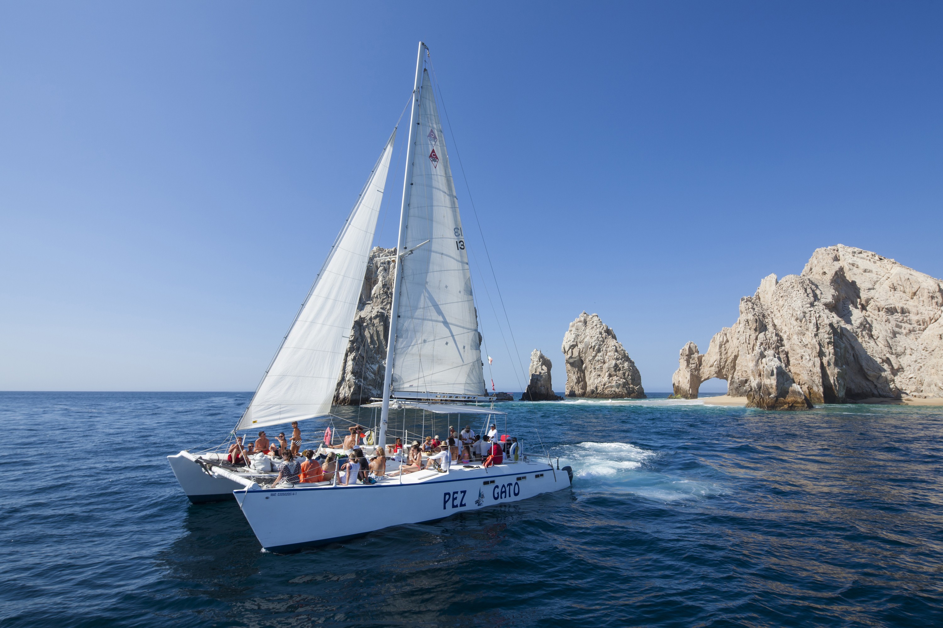 Snorkeling with Pez Gato Experience in Los Cabos