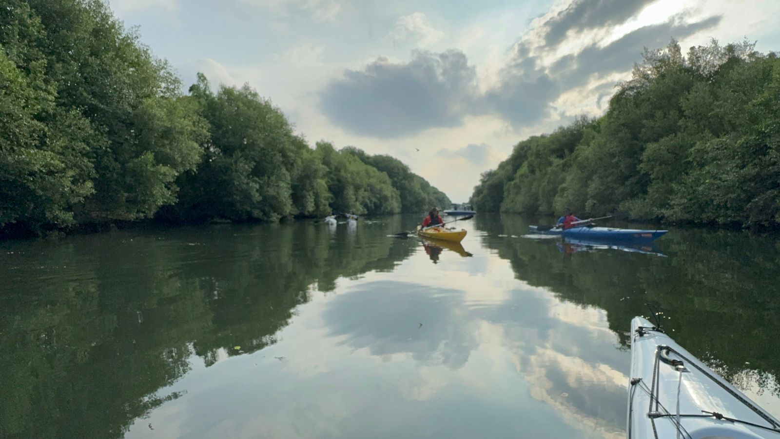 Canoeing Mangrove Experience and Pantai Indah Kapuk Tour in Jakarta 