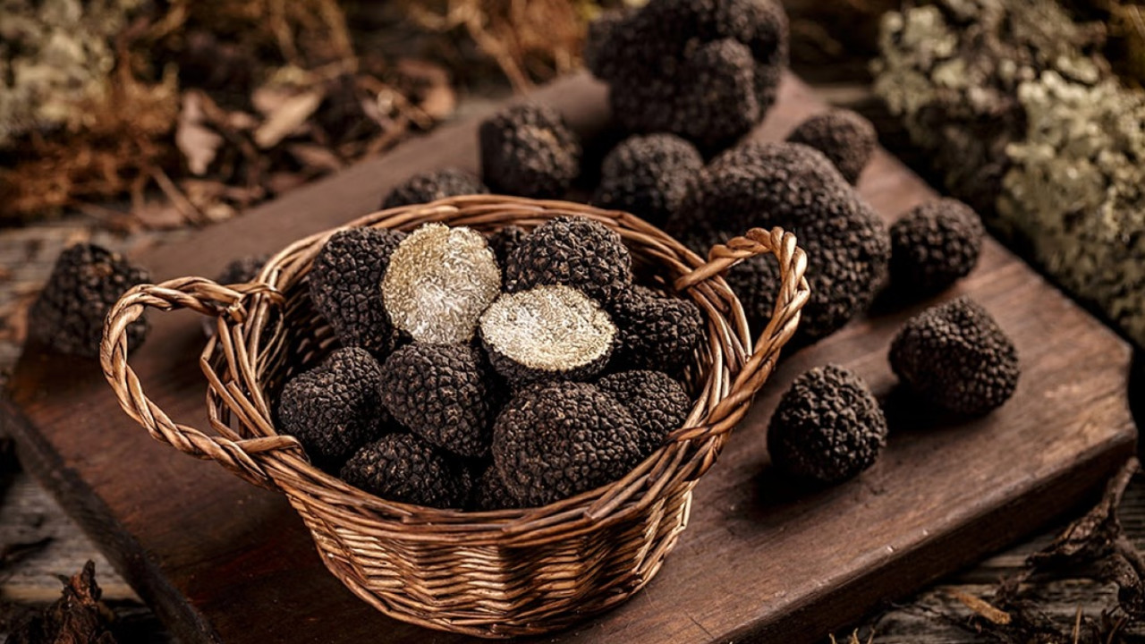 Fiesole Half-Day Small Group Guided Tour