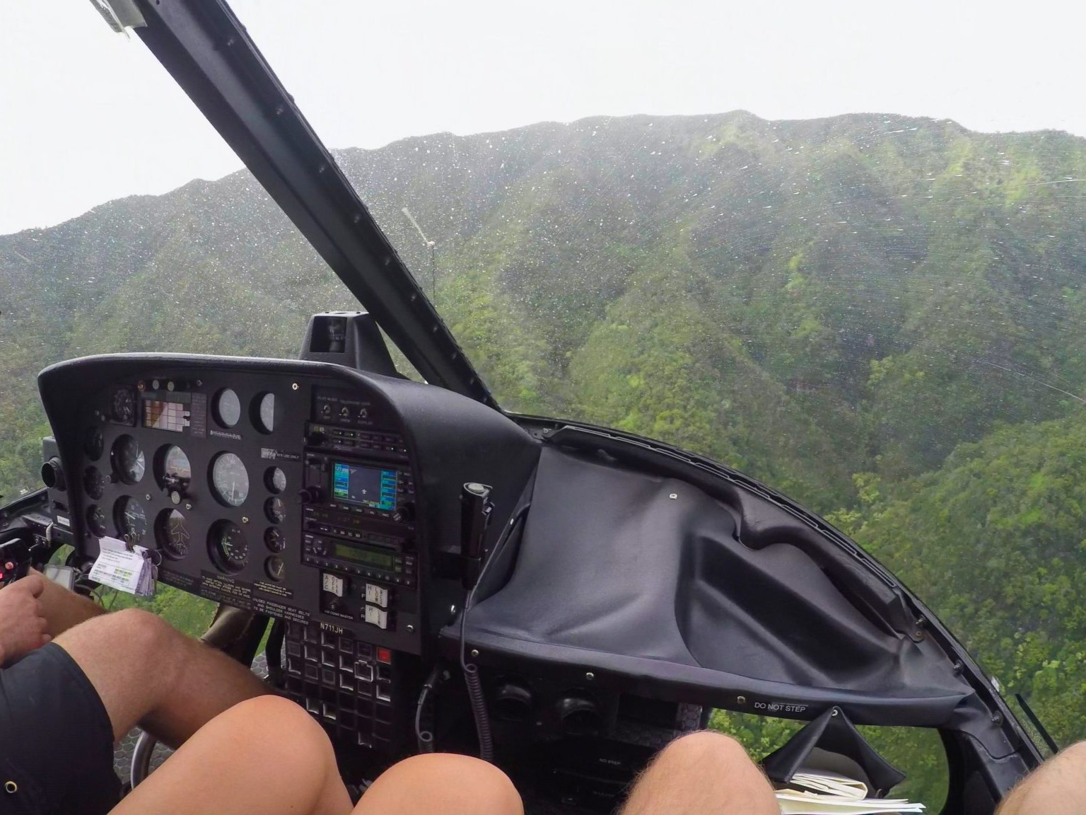 Admire panoramic mountain and forest vistas through the helicopter’s expansive viewing windows