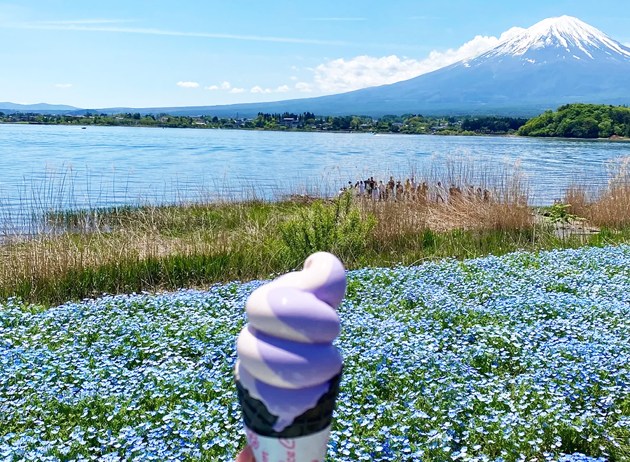 [Four Seasons Only] One-Day Tour of Mt. Fuji and Lake Kawaguchi｜Moss-sakura in Spring, 5th Station in Summer｜Maple Leaf Corridor in Autumn, Snow-capped Peaks in Winter｜Lake Yamanaka Cruise or Hot Springs｜Depart from Tokyo