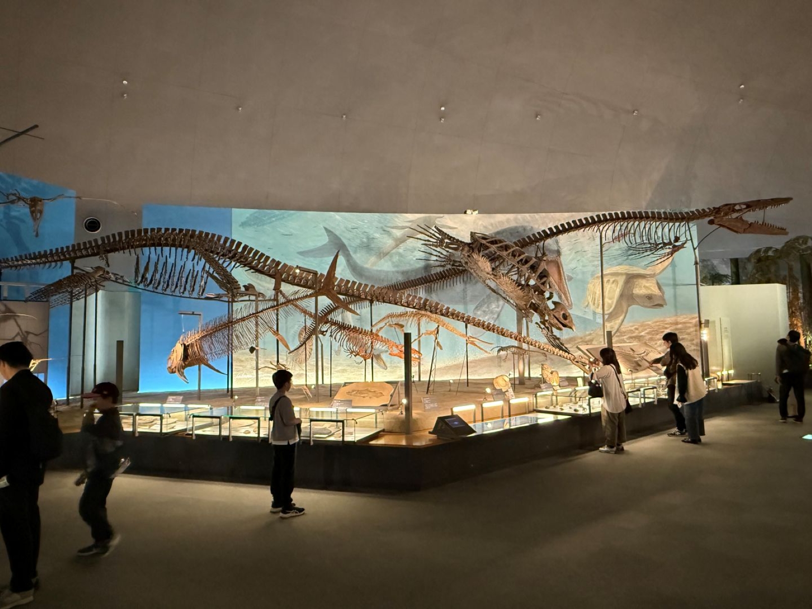 探索生命起源的區域，超越恐龍時代