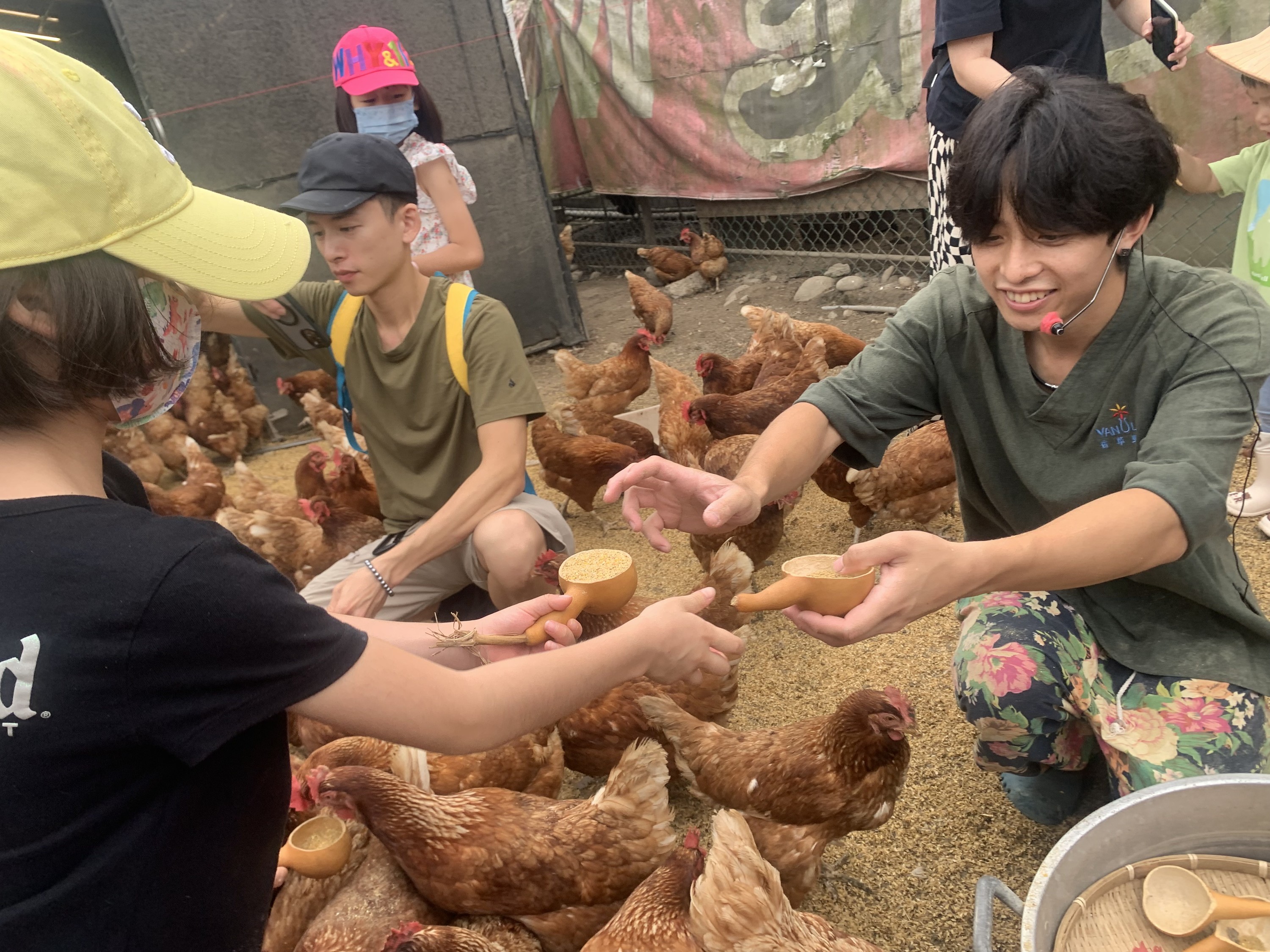 桃園 香草野園 農事體驗 需提前預約