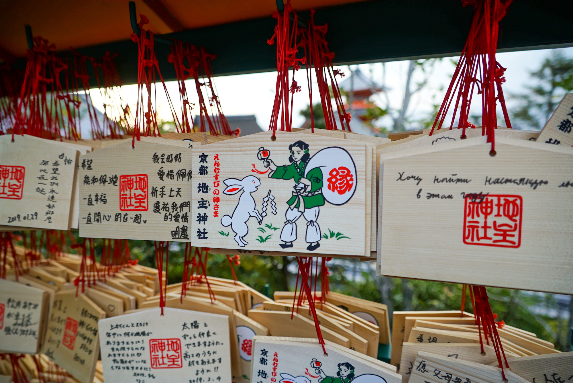 京都茶道 & 清水寺徒步之旅