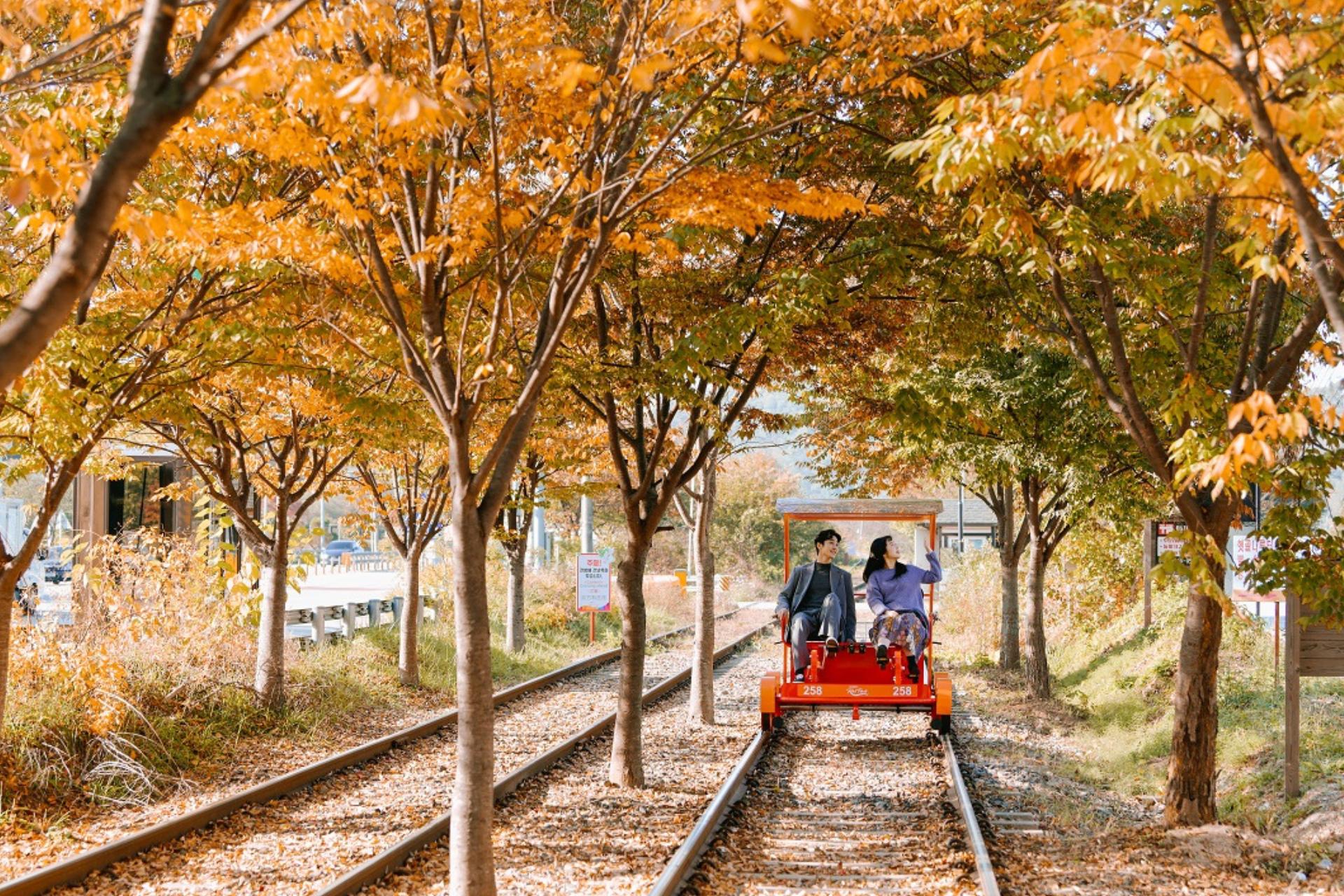 在輕鬆的節奏中慢慢前行，盡情欣賞沿途風光，以最獨特的方式感受韓國的迷人景色。
