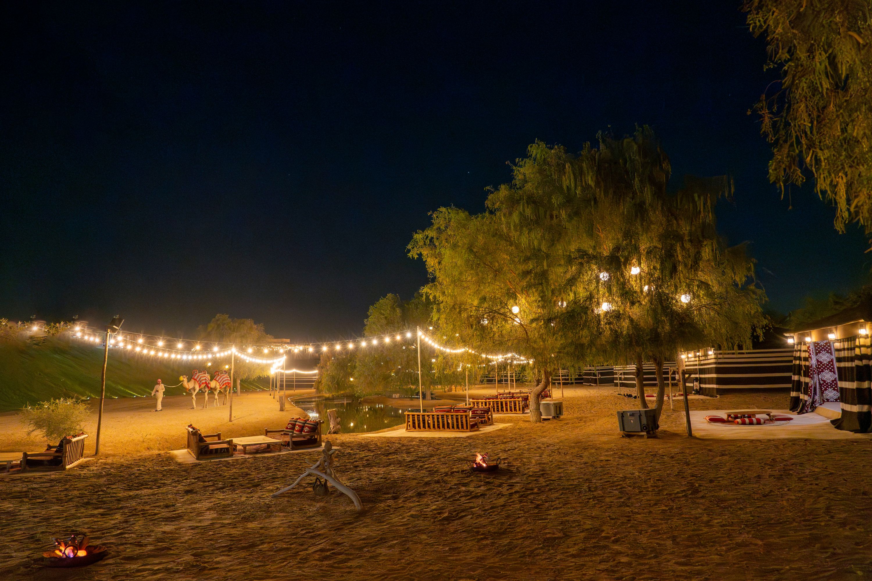 Dubai: Night Desert safari with Camel Ride & Stargazing