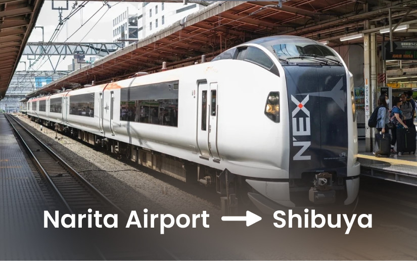 Narita Express (Narita Airport to Shibuya)