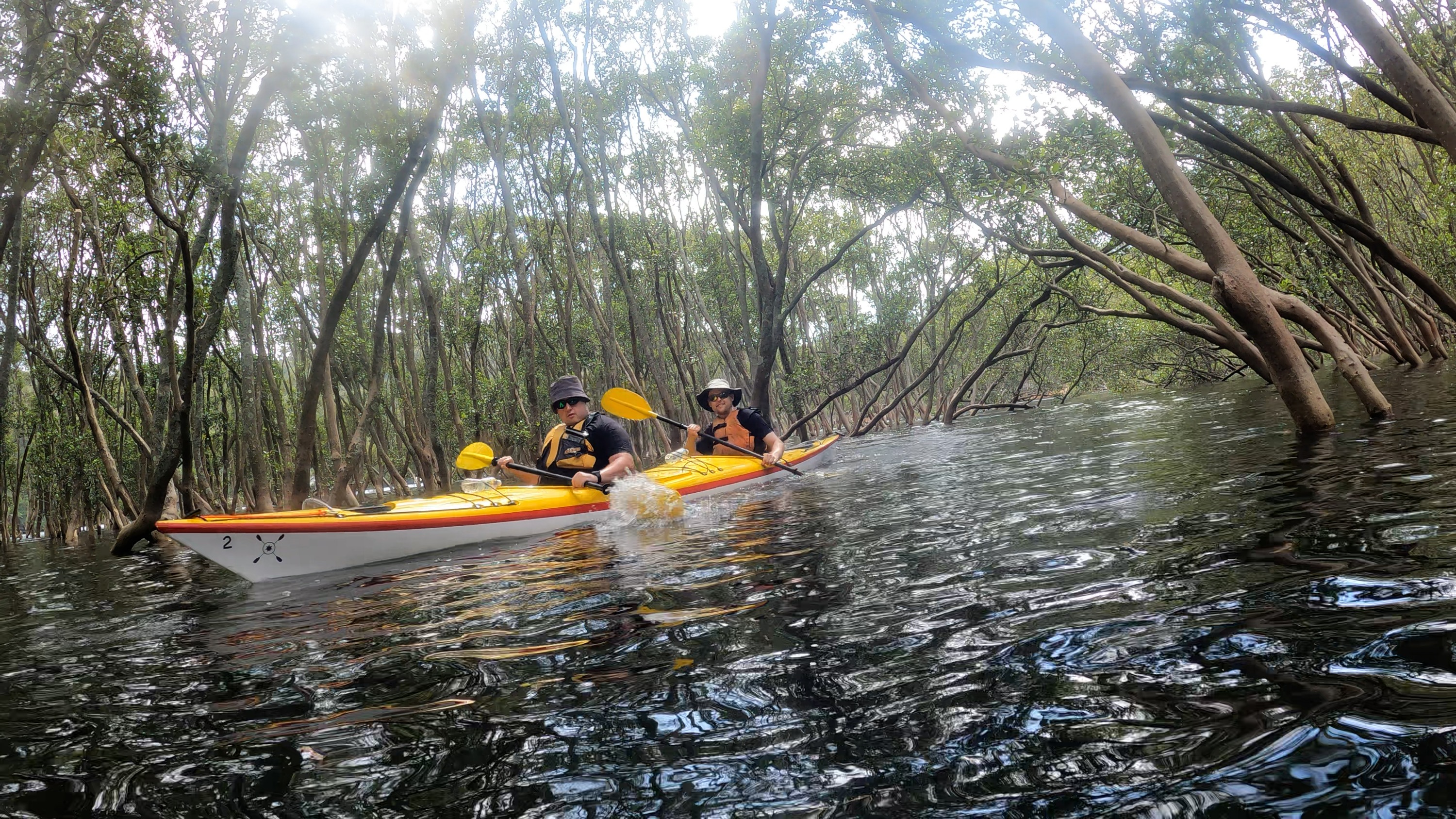 雪梨中港皮划艇生態之旅（Sydney Harbour Kayaks提供）
