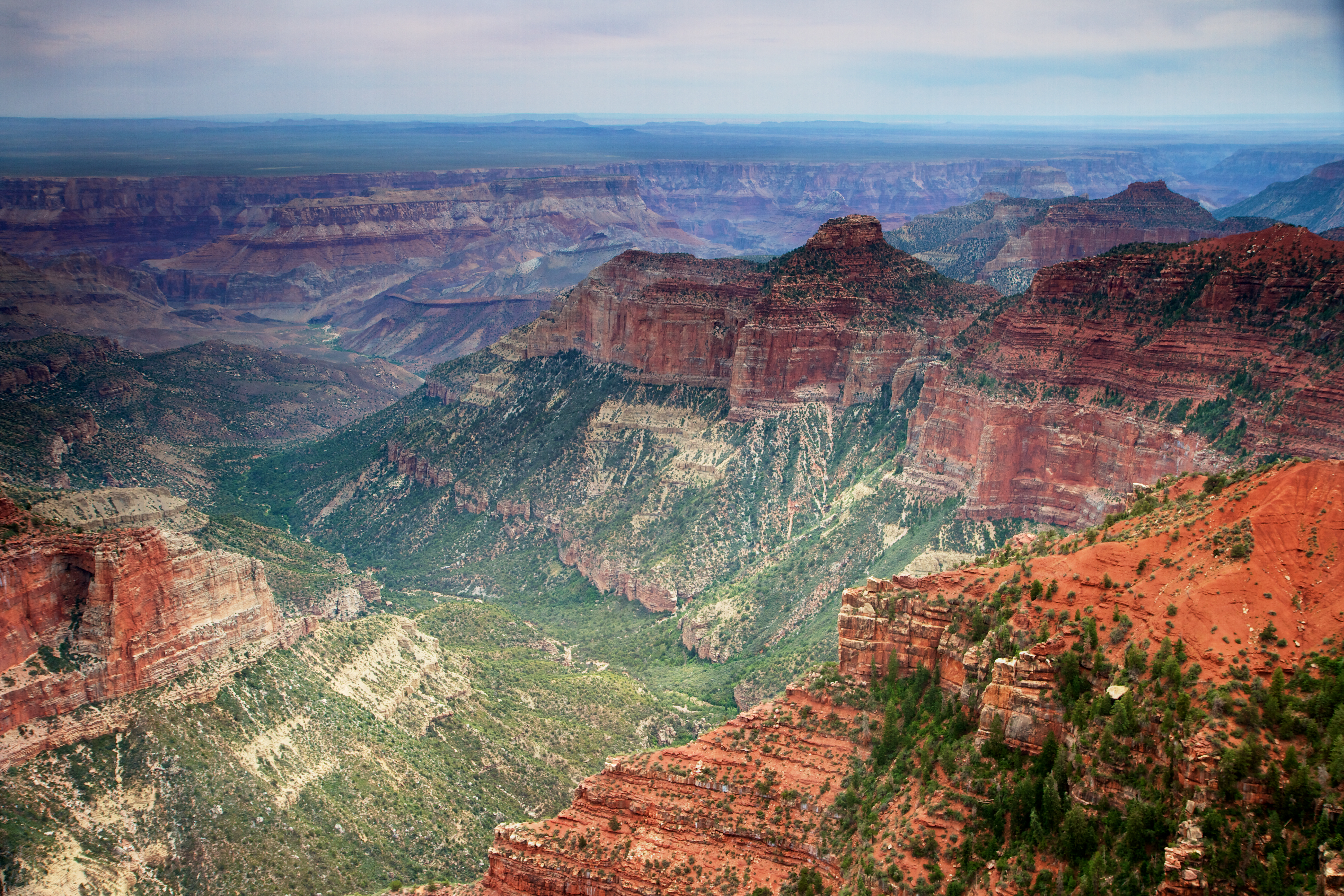 природная красота вида на Гранд-Каньон