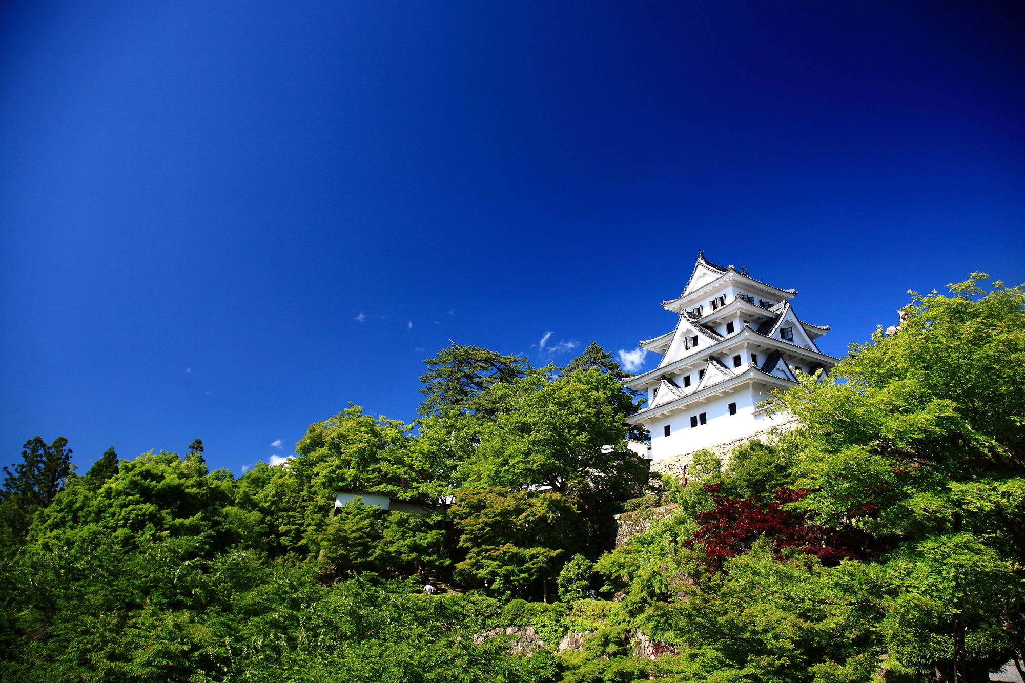 【郡上八幡城 夏季】夏季的郡上八幡城被翠綠山林環繞，景色清新宜人。登上天守可俯瞰整個郡上八幡城下町與長良川，視野開闊。早晨雲霧繚繞時，更有「天空之城」般的夢幻景象。氣候較為涼爽，是避暑與拍照的好季節。※門票需自理