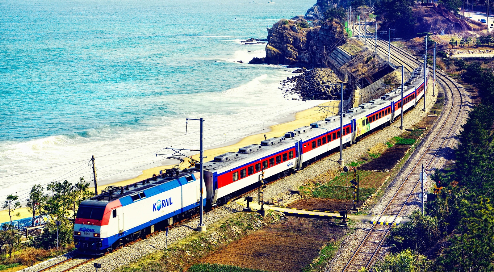 Gangneung &amp; Donghae Tour by Donghae Line from Busan