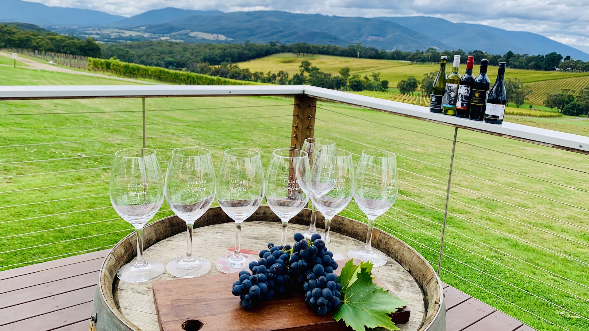 參觀當地葡萄園