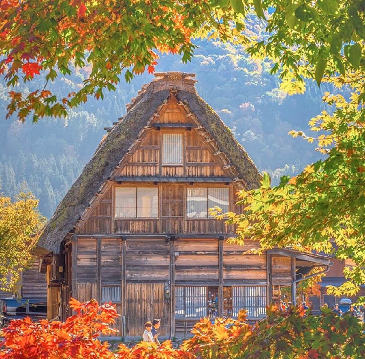 白川鄉秋日風情・楓葉環繞的合掌屋
紅葉與金黃楓樹勾勒出秋意盎然的合掌村風景，彷彿置身夢境油畫。陽光灑落，木屋在暖色調中格外溫柔，是秋季最迷人的瞬間之一。