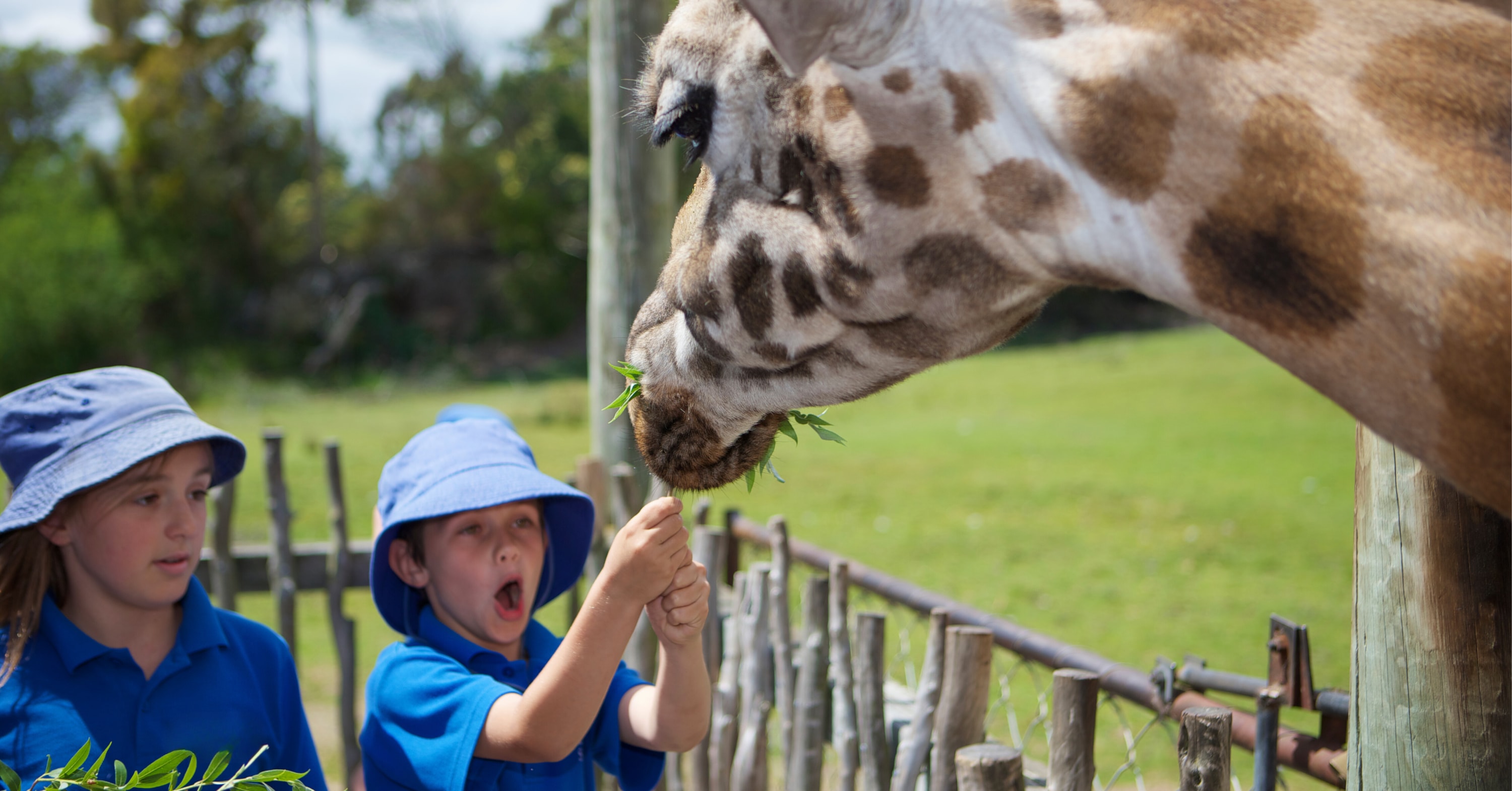 基督城 Orana Wildlife Park 野生動物園門票