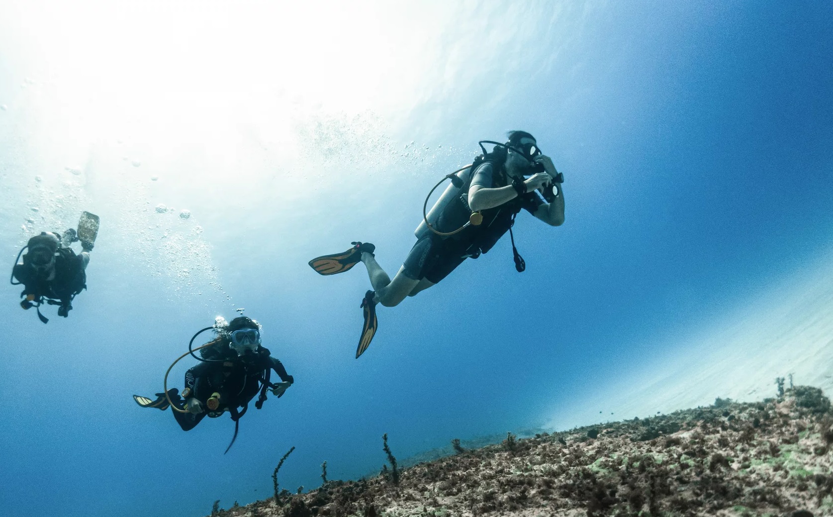 Siargao Serenity: Tailored 1-on-1 Open Water Diver with PADI Center